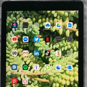 Apple iPad